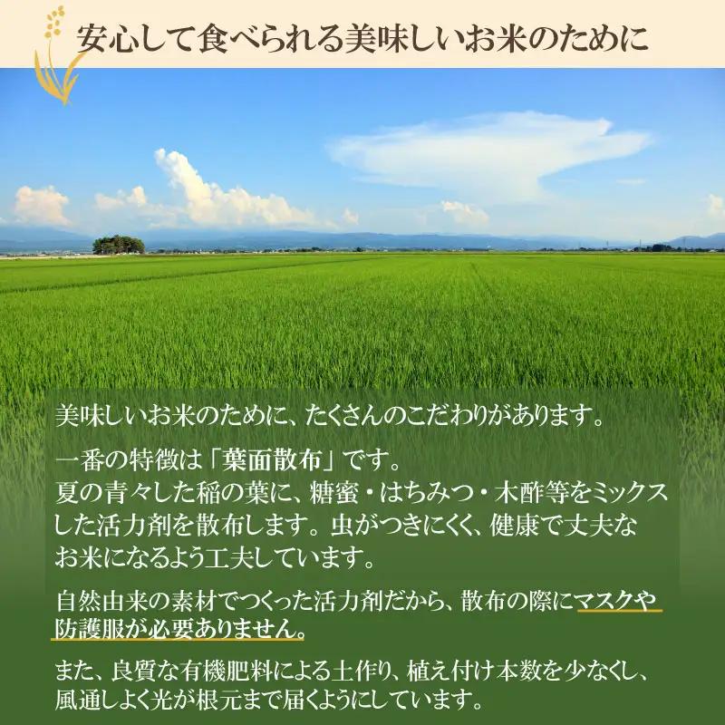 【令和8年産 先行予約】【定期便6ヶ月】井上農場のコシヒカリ 無洗米 6kg(2kg×3袋)×6ヶ月　K-856