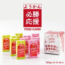 【ふるさと納税】you can! ようかん10本入 和菓子 伝統 小城羊羹 送料無料