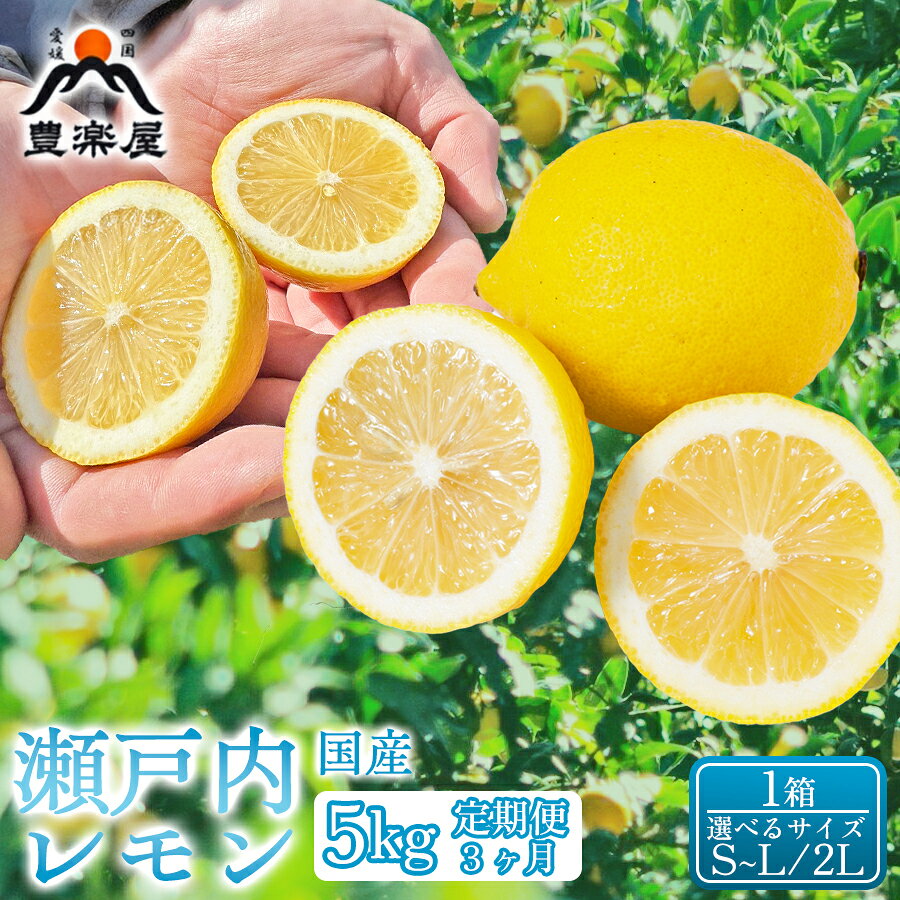 【ふるさと納税】【定期便3ヶ月】【選べるサイズ】【防腐剤・ワックス不使用で安心】真穴産地直送の国産レモン 瀬戸内レモン5kg サイズS~L 1箱 全3回【98-26】ふるさと納税 れもん 檸檬 レモン 柑橘 選べるサイズ S~L 2L 産地直送 愛媛県 八幡浜市 送料無料YWTBU030