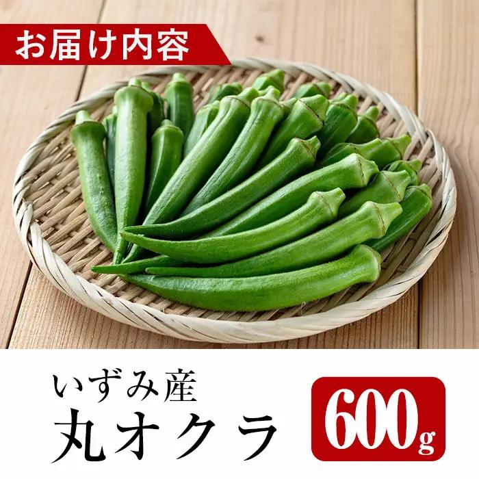 いずみ産 丸 オクラ 600g 【イーサイドライン】 i1215-A