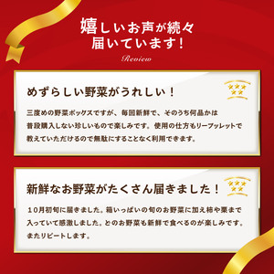 野菜【3カ月定期便】赤城南麓で育った季節の野菜