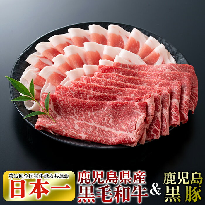 【ふるさと納税】鹿児島県産黒毛和牛【A-5ランク】＆黒豚しゃぶしゃぶセット（計約800g・たれ付き)※北海道・沖縄配送不可※国産 牛肉 上赤身肉 豚肉 黒豚ロース肉 しゃぶしゃぶ肉【今肉屋】