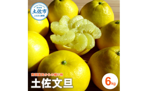 『南国高知からの贈り物』土佐文旦 6kg 6キロ 文旦 期間限定 数量限定 ぶんたん ブンタン 柑橘 みかん 果物 果肉 フルーツ 甘い 美味しい プリプリ 食感【ファーマーズマーケットひなた】 [BQBT002]