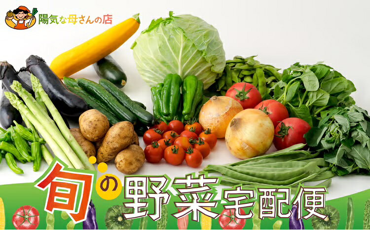 【ふるさと納税】野菜 果物 手づくり 加工品 宅配便 セット ベジタブル 詰め合わせ サラダ フルーツ 農作物 第8回地域再生大賞受賞 秋田の味 旬 新鮮 秋田県 大館市 お取り寄せ 秋田 特産品 お取り寄グルメ お土産 国産 食品 送料無料【陽気な母さんの店(株)】