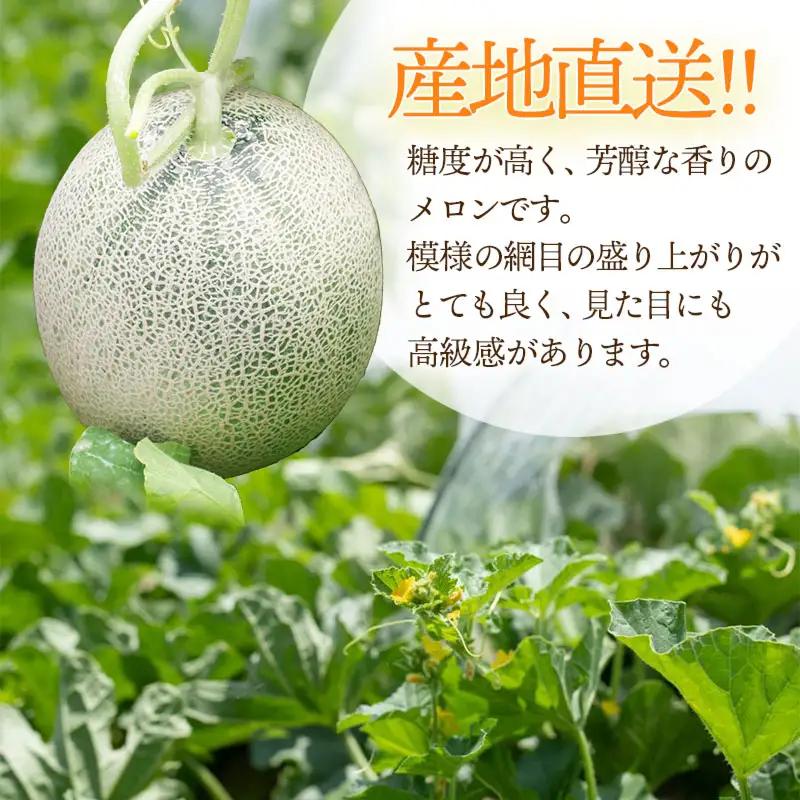 【令和8年産先行予約】産地直送！ 庄内砂丘グレースメロン 約5kg (3～5玉)　佐藤農園　 K-835　| メロン めろん フルーツ 果物 くだもの 夏 旬 デザート 産地直送 山形 鶴岡 庄内 東