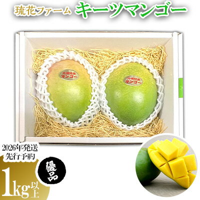 【ふるさと納税】【2026年発送先行予約】キーツマンゴー優品1kg以上 沖縄 おきなわ 優品 家庭用 先行予約 ふるさと納税 送料無料 甘味 糖度 おいしい お土産 キーツ 果物 くだもの 果実 1キロ 箱入り 食べ物 フルーツ マンゴー