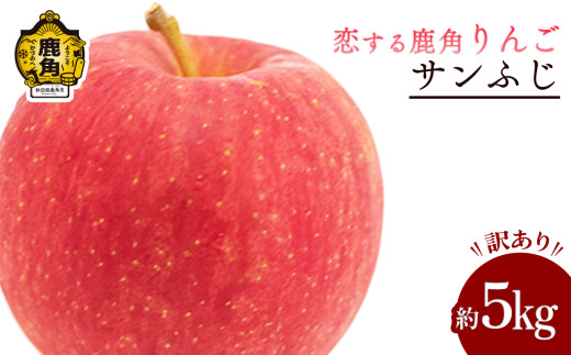《 先行予約 》 鹿角 りんご 訳あり「サンふじ」約 5kg 【恋する鹿角カンパニー】 ●2026年12月上旬発送開始 家庭用 かづのりんご 食感 果汁 さっぱり リンゴ 完熟 旬 県産りんご 林檎 お中元 お歳暮 贈り物 お見舞い グルメ ギフト 故郷 秋田 あきた 鹿角市 鹿角 送料無料