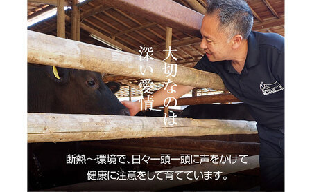 京都もり牛 食べ比べ スライス 1kg 赤身・霜降