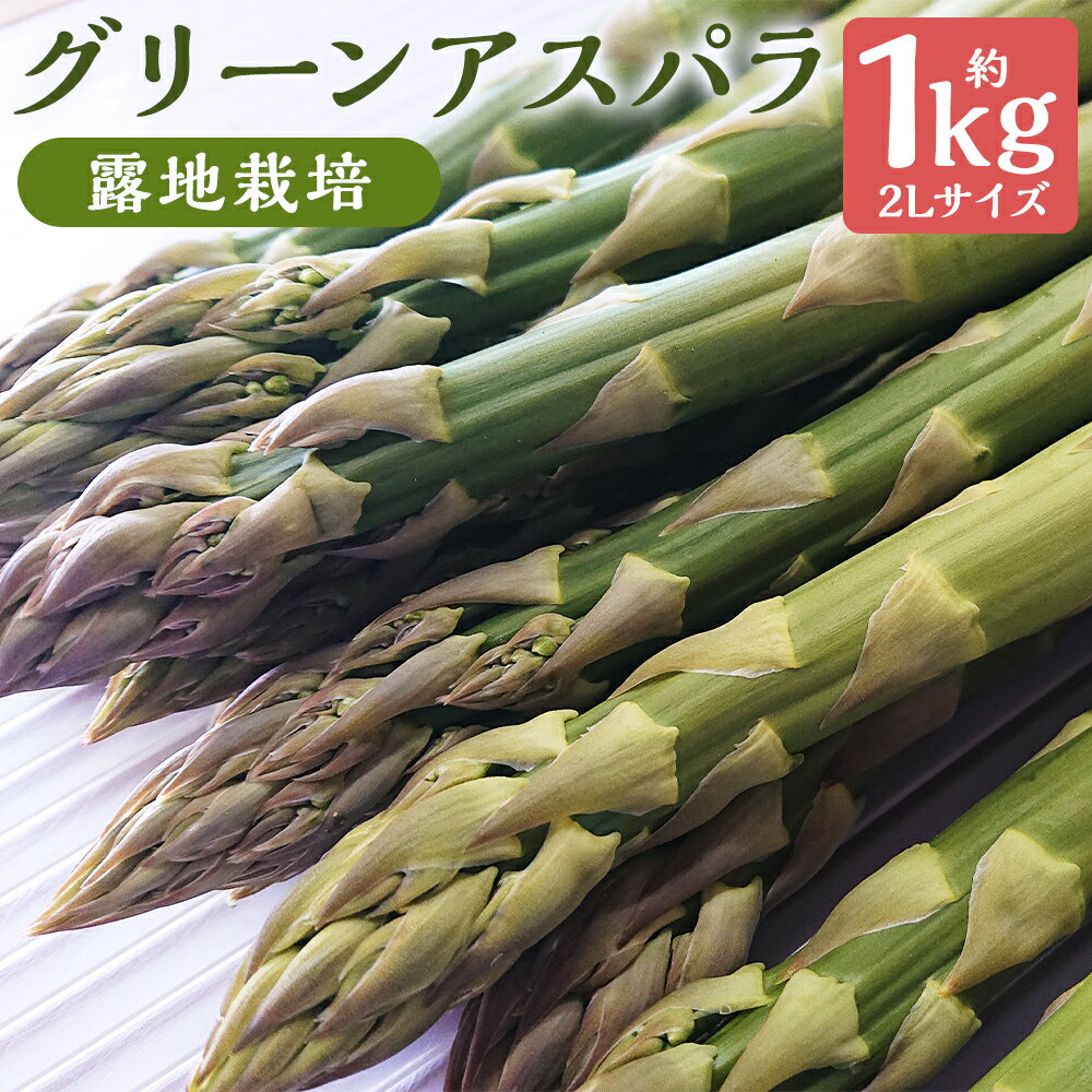 【ふるさと納税】グリーンアスパラ 露地栽培 2L 約1kg アスパラガス グリーンアスパラガス 野菜 北海道産 蘭越町産 送料無料【2025年5月下旬～6月上旬に順次発送予定】