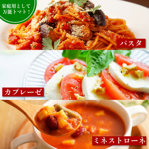 トマト 約4kg(12～30個) 京都府産 トマト