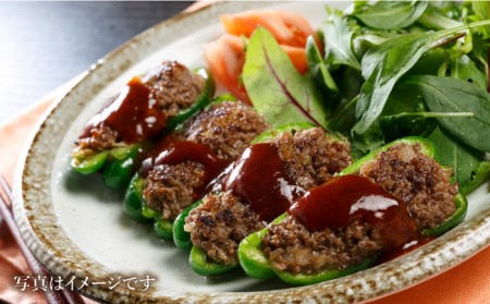 【全6回定期便】 佐賀牛ミンチ＆切り落とし HAA085 牛肉 切り落とし 国産 和牛
