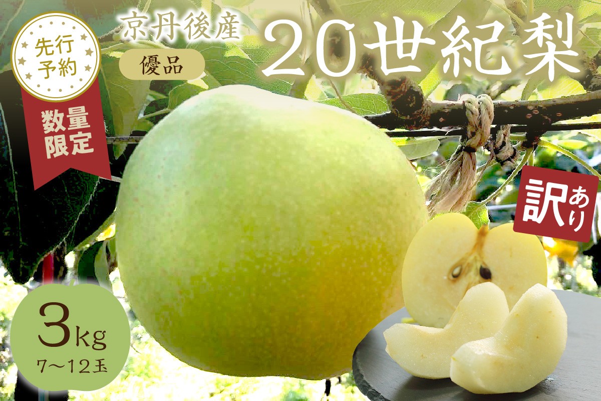 
                  【先行予約／数量限定50】【訳あり】20世紀梨 優品 3kg（7～12玉入り）（2026年9月上旬～発送） なし 二十世紀梨 ふるさと 納税 梨 ふるさと 納税 20世紀梨　SF00052
                