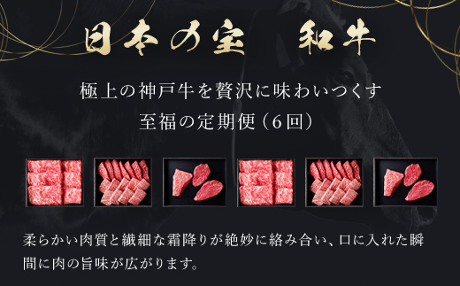 【毎月定期便】和牛セレブの神戸牛定期便「ファーストクラス」全6回【配送不可地域：離島】 AS33O4