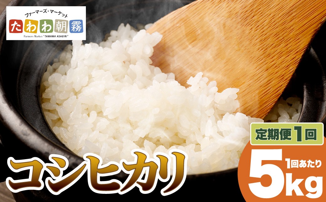 
                  【生活応援】京都丹波産 こしひかり 精米 5kg【JA京都たわわ朝霧】 白米 米 お米 こめ コメ ライス ご飯 ごはん ふっくら つやつや おいしい 美味しい 贈り物 単一原料米 国産 コシヒカリ 仕送り お取り寄せ 令和7年産米 産地直送 人気 おすすめ 5キロ
                