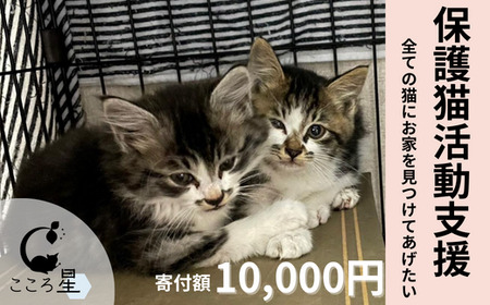 保護猫 活動支援 寄付額10,000円 こころ星