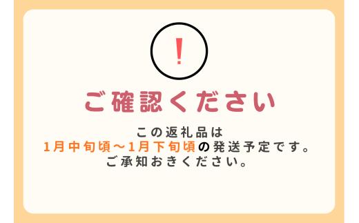 8-W04 GI登録商品 市田柿 約170g×4