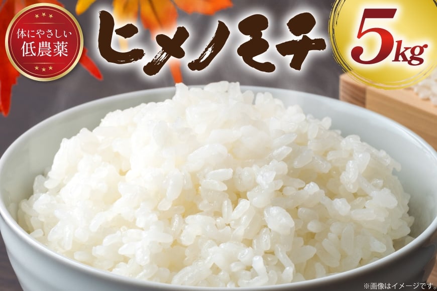 
            米 令和6年産 山形県産 ヒメノモチ 白米 5kg [冨樫商店 山形県 高畠町 tk06ayt290005] もち米 こめ コメ 精米 ごはん ご飯 ブランド米 
          