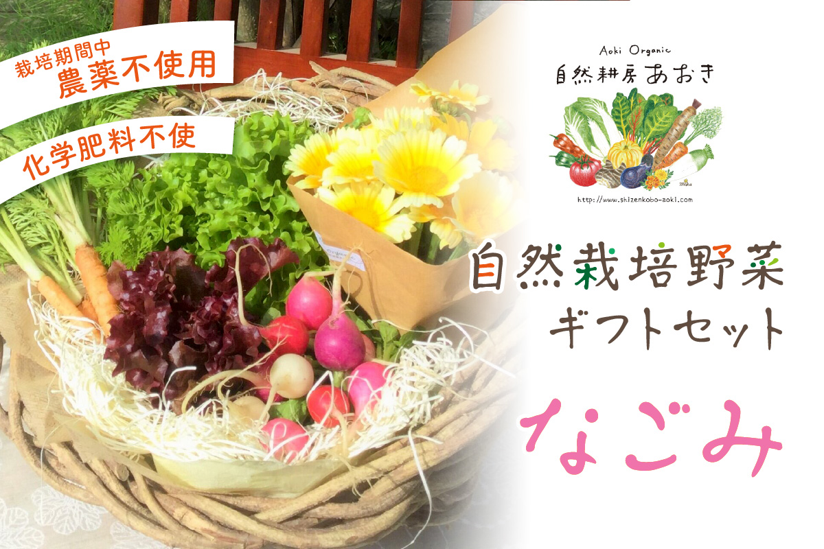 【数量限定】自然栽培野菜ギフトセット（なごみ）