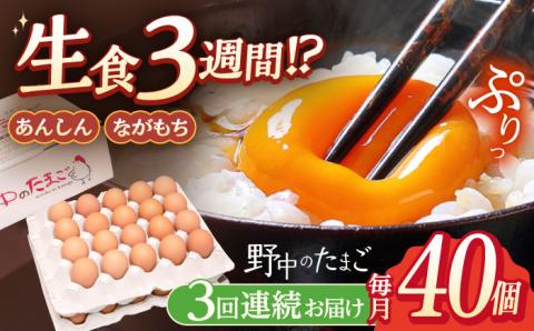 【3回定期便】産みたて新鮮卵 野中のたまご  40個×3回 計120個【野中鶏卵】 [OAC004] /卵 たまご 高級卵 卵焼き 卵かけご飯 たまご 濃厚たまご タマゴ