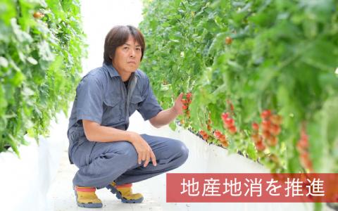 【期間限定】海洋深層水トマト