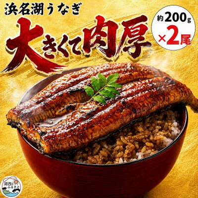 【ふるさと納税】大豆イソフラボンで育てた浜名湖うなぎ蒲焼「やわら華」大きくて肉厚 (約200g×2尾)【配送不可地域：離島】【1746436】