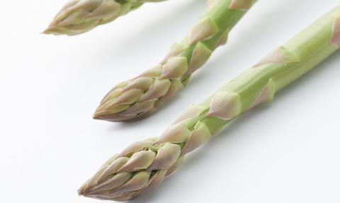 先行予約 アスパラガス 太目(LA) 約1kg 約1kg [2025年5月頃から順次発送予定] 令和7年産 [飯塚農園] 【012S004】