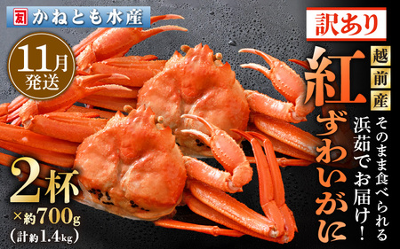 【訳あり】≪浜茹で≫越前産 紅ずわいがに 約700g × 2杯 食べ方しおり付【11月発送分】【紅ズワイガニ カニ かに 蟹 姿 ボイル 冷蔵 福井県】希望日指定不可 [e14-x025_11]