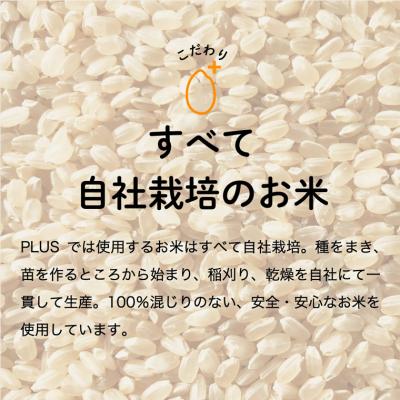 ふるさと納税 関市 令和7年産 ハツシモ米 【白米】2kg(1kg×2袋) 【12月以降順次発送】S19 |  | 02