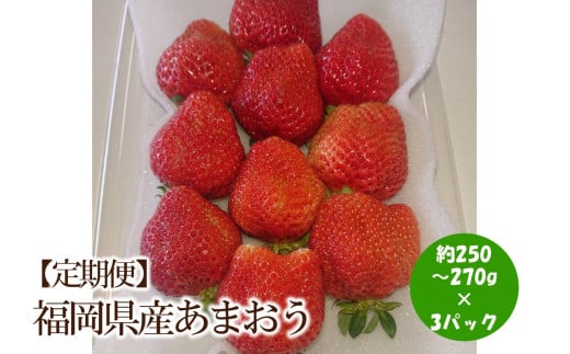 【2026年先行予約】【3回定期便】福岡県産あまおう約250-270gx3パックｘ3回【044-0066】