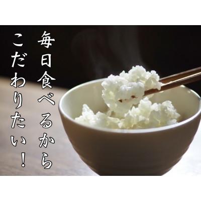 ふるさと納税 福知山市 【無洗米】5kg 京都産 精米 コシヒカリ 流通していない 特別なお米 |  | 01