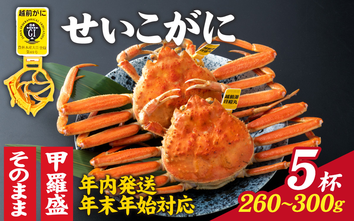 
【先行予約】選べる！美味しさ直送【成前特選】せいこがに（260g～300g）×5杯【年内発送・年末年始対応】【L-028030】
