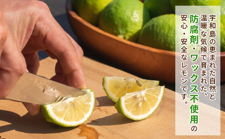 レモン 5kg コルレオファーム 国産 防腐剤 ・ ワックス 不使用 国産レモン 先行予約 青レモン れもん remon 檸檬 レモン果汁 酸味 果物 くだもの ビタミン サワー ジュース チューハイ