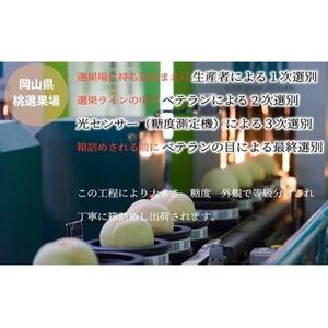 2026年  岡山   白 桃   エース 3玉×約200g（Lサイズ）JAおかやま（早生種・中生種）｜ 桃　