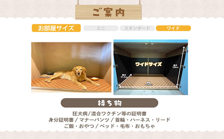 【海を一望できるドッグラン 利用チケット】ホテル ワイド1泊2日 犬 ペット ペットホテル 犬用ホテル 大型犬 中型犬 dog わんちゃん 愛犬 イヌ 宿泊 ドッグラン 常滑市 空港に近い 飼い主 体