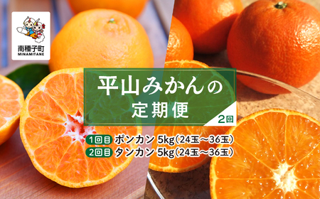 【定期便】【先行予約】 種子島 平山みかん 定期便 全2回 ポンカン タンカン 人気 種子島産 返礼品 南種子町 鹿児島 かごしま 【のっちーよ種子島】