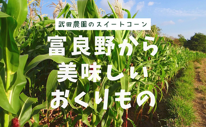 ［武田農園とれたて直送］スイートコーン どきどきコーン 2L 20本 北海道 富良野産 ( とうもろこし 野菜 新鮮 とうきび 甘い 産地直送 先行予約 限定 ）