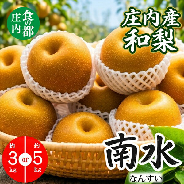 【ふるさと納税】選べる内容量（3kg・5kg）食の都庄内　【令和8年産】庄内産和梨【南水】　※令和8年9月中旬～10月下旬配送（株式会社　三枡屋）