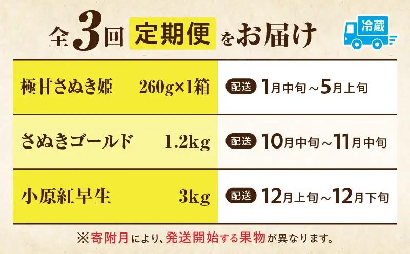 季節の恵み3回定期便C | 果物 フルーツ 青果 青果物 デザート スイーツ 果実 旬 季節 旬の果物 季節の果物 生鮮食品 生鮮 贈答 贈り物 ギフト プレゼント おすそ分け お祝い 内祝い ご褒美