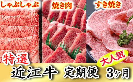 令和6年12月31日までの期間限定極上近江牛1kg　食べ方色々！　アソート定期便【ZZ37U】