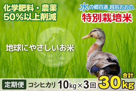 【令和7年産】【3ヶ月定期便】こしひかり 10kg × 3回 計30kg 【白米】減農薬・減化学肥料 「特別栽培米」－地球にやさしいお米－[D-003001]