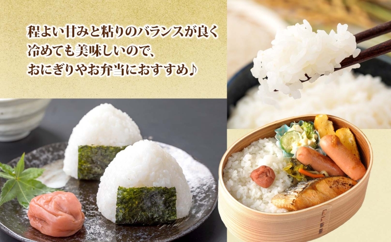 【ふるさと納税】北海道 R7年産 北海道産 ゆめぴりか 5kg 精米 米 白米 ごはん お米 新米 ライス 特A 獲得 5キロ 北海道米 ブランド米 道産 ご飯 お取り寄せ 甘み もちもち 粘り 食味