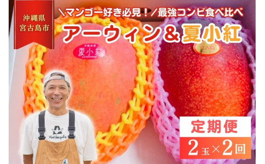 HZ002【2025年先行予約】【檬果家】【定期便】マンゴー好き必見！最強コンビ食べ比べ【アーウィン＆夏小紅】