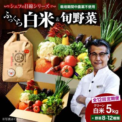 ふるさと納税 大洲市 【全12回定期便】!旬のお野菜セット×クリーン白米【ふるさと納税限定】 [AGBX011]