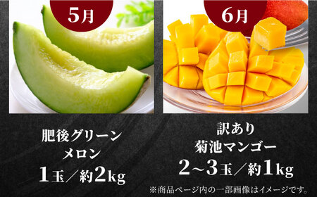 先行予約6回定期便 合志市ひとりじめ定期便 馬刺し果物AYZZ008