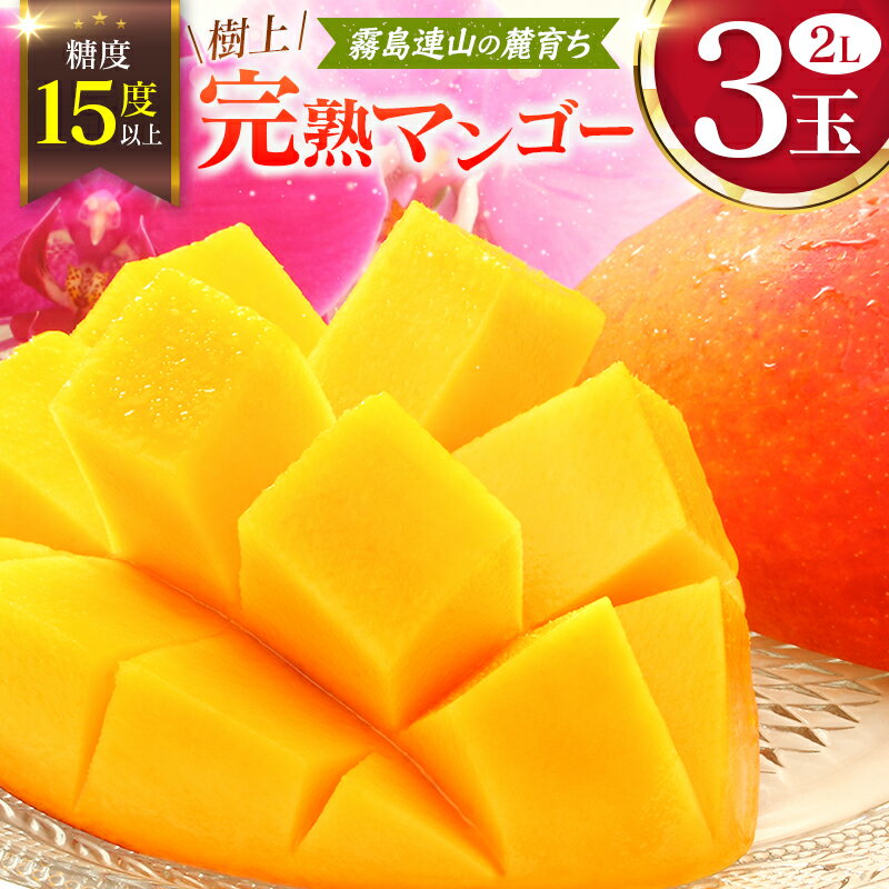 【ふるさと納税】《甘い!!糖度15度以上》 宮崎 樹上完熟 マンゴー 2Lサイズ×3玉 霧島連山の麓育ち 宮崎県産 トロピカル フルーツ お取り寄せ 果物 旬
