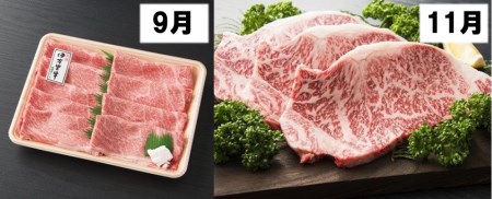 伊万里牛食べつくし 定期便 6回便 モモスライス入り ヒレステーキ 30万円コース J253