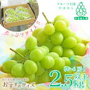 【ふるさと納税】2025年先行予約 山梨県産 シャインマスカット 2.5kg以上(4～6房) 山梨が誇る 人気果物【配送不可地域：離島・沖縄県】【1272527】