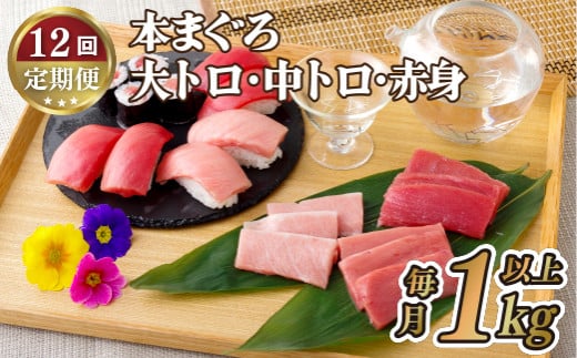 A142p 【全12回定期便 総計12kg】本マグロ (大トロ・中トロ・赤身)  計1kg以上 長崎県産 海鮮丼のタレ付き【本家永松家】マグロ まぐろ 鮪 大とろ 中とろ 赤身 刺身 海鮮丼 定期便