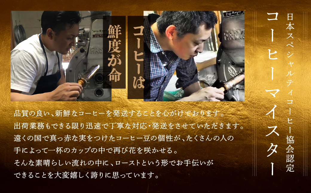 自家焙煎珈琲店「緑の館」/45年の伝統レギュラーブレンド豆 500g×8（計4kg）珈琲 コーヒー 豆 下呂温泉【17-65】