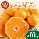 【ふるさと納税】《数量限定！》濃厚温州みかんご家庭用10kg（和歌山天田みかん）みかんの産地和歌山　北村農園直送 先行予約 2023 みかん ミカン 10kg 10キロ 自宅用 フルーツ くだもの 果物 旬 送料無料 ふるさと納税 みかん 和歌山